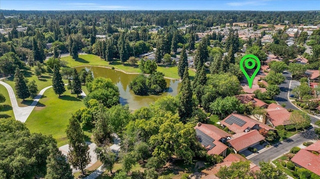 5532 N El Adobe Dr, Fresno, CA 93711 - drone / aerial view of a large body of water and a heavily wooded area