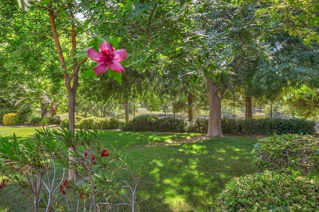 5532 N El Adobe Dr, Fresno, CA 93711 - view of grassy yard