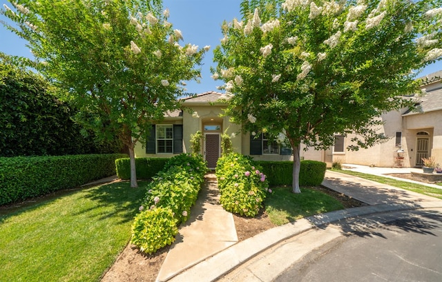 1654 N Dublin Ln, Clovis, CA 93619 - obstructed view of property with stucco siding and a front lawn