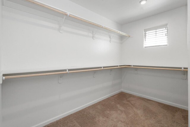 17 Medieval, Merced, CA 95341 - walk in closet featuring carpet flooring