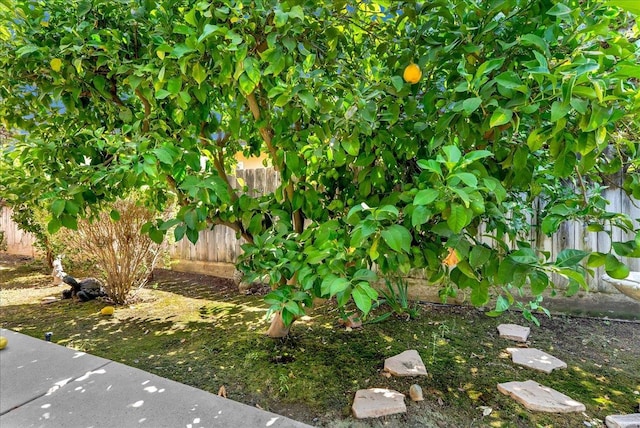 704 Westwood Dr, Exeter, CA 93221 - photo 47