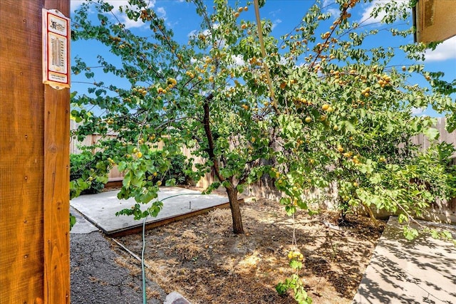 704 Westwood Dr, Exeter, CA 93221 - photo 44