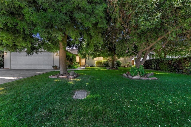 704 Westwood Dr, Exeter, CA 93221 - photo 3