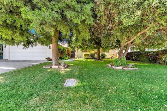 704 Westwood Dr, Exeter, CA 93221 - photo 2