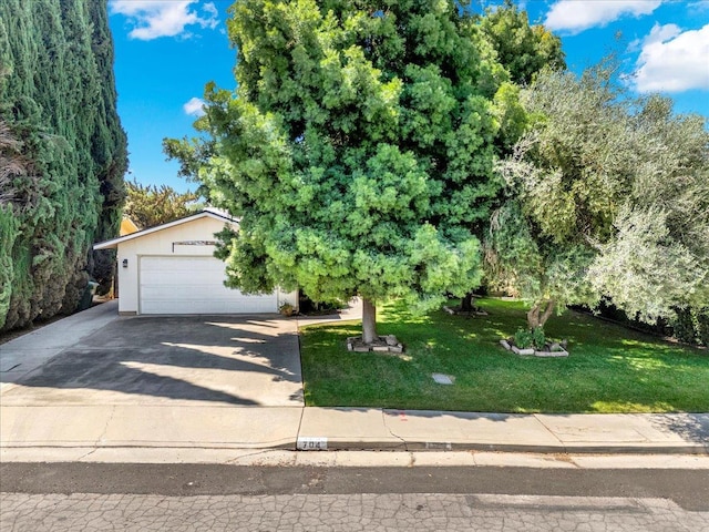 704 Westwood Dr, Exeter, CA 93221 - photo 6