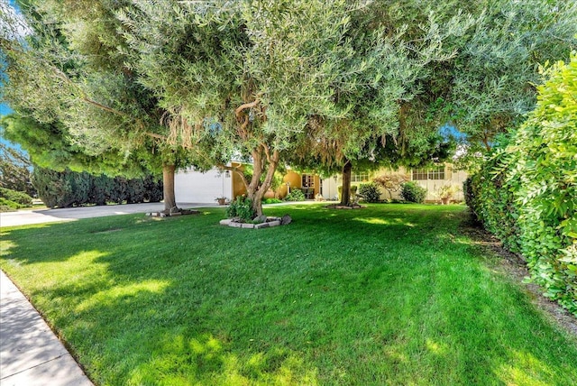 704 Westwood Dr, Exeter, CA 93221 - photo 5