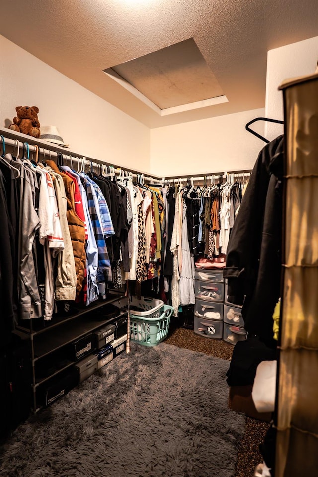 10080 N Dearing Ave, Fresno, CA 93730 - walk in closet featuring carpet floors