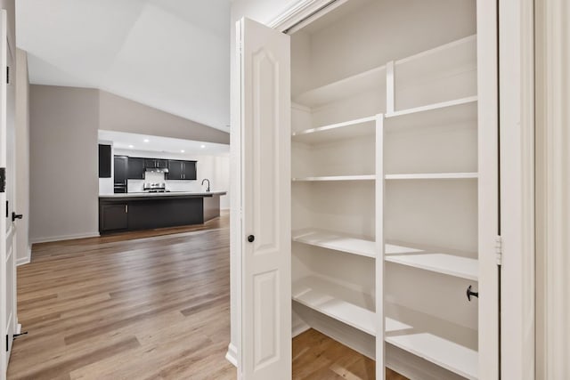 2540 E Seeger Ave, Visalia, CA 93292 - storage area with a sink