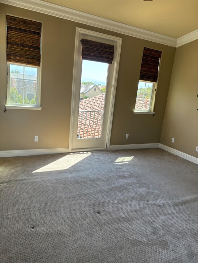 1682 N Dutch Ave, Clovis, CA 93619 - photo 36