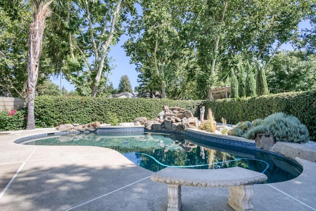 689 E Pintail Cir, Fresno, CA 93730 - view of swimming pool