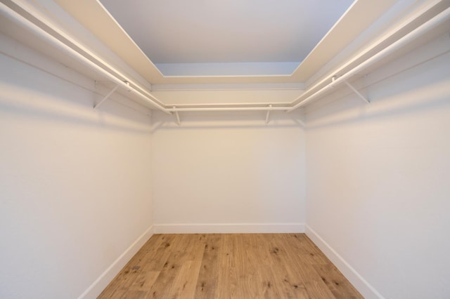 4342 E Buckingham Way, Fresno, CA 93726 - spacious closet with light wood-type flooring