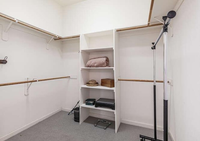 5214 N Via Trevi, Fresno, CA 93711 - walk in closet featuring carpet