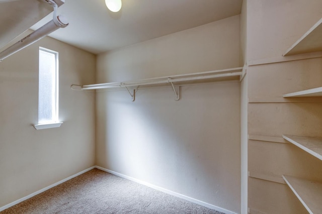 9340 N Jackson Ave, Fresno, CA 93720 - spacious closet with carpet flooring