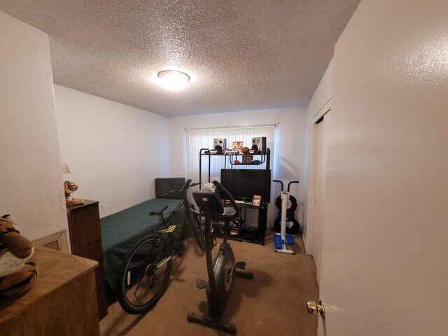 workout area with carpet flooring and a textured ceiling
