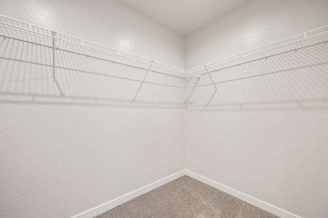 834 Amanecer Ave, Clovis, CA 93619 - spacious closet featuring carpet flooring