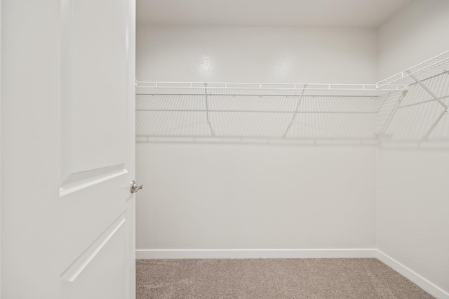 834 Amanecer Ave, Clovis, CA 93619 - walk in closet with carpet