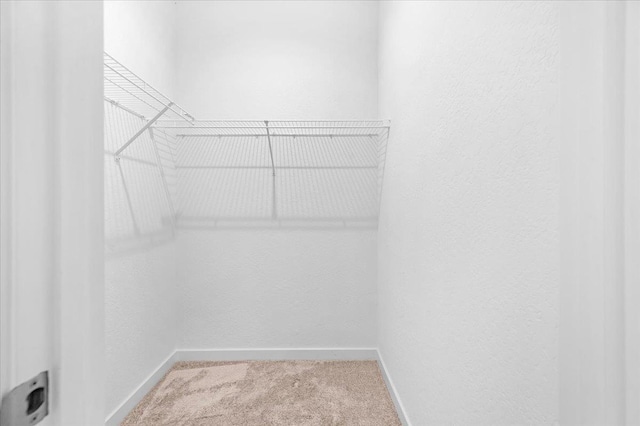 6105 W Richert Ave, Fresno, CA 93723 - walk in closet featuring carpet flooring