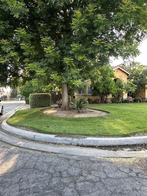 6675 N Lola Ave, Fresno, CA 93722 - view of property hidden behind natural elements featuring a front lawn and stucco siding