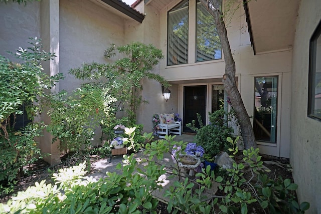 5513 N El Adobe Dr, Fresno, CA 93711 - doorway to property featuring stucco siding