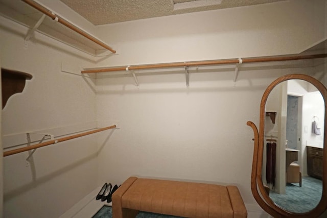 5513 N El Adobe Dr, Fresno, CA 93711 - walk in closet featuring arched walkways