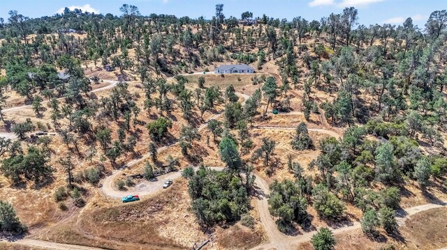 31635 Rd 400, Coarsegold, CA 93614 - photo 32