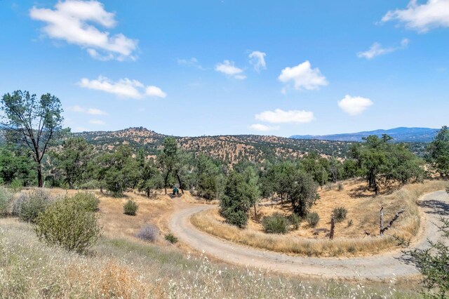 31635 Rd 400, Coarsegold, CA 93614 - photo 31