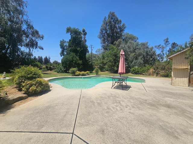 36883 Cloverleaf Ave, Madera, CA 93636 - swimming pool featuring a patio