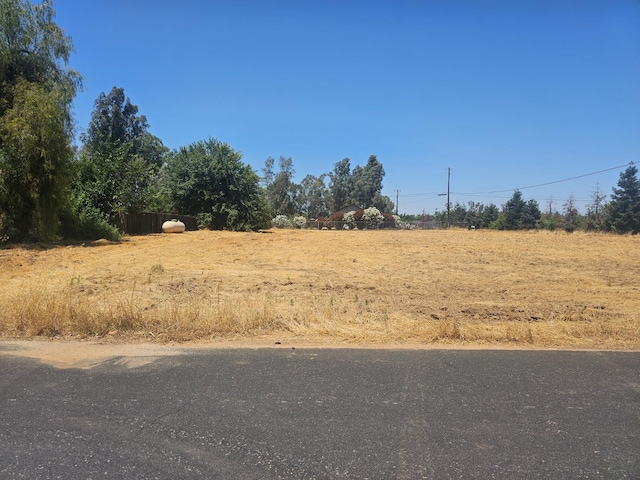 36883 Cloverleaf Ave, Madera, CA 93636 - view of yard