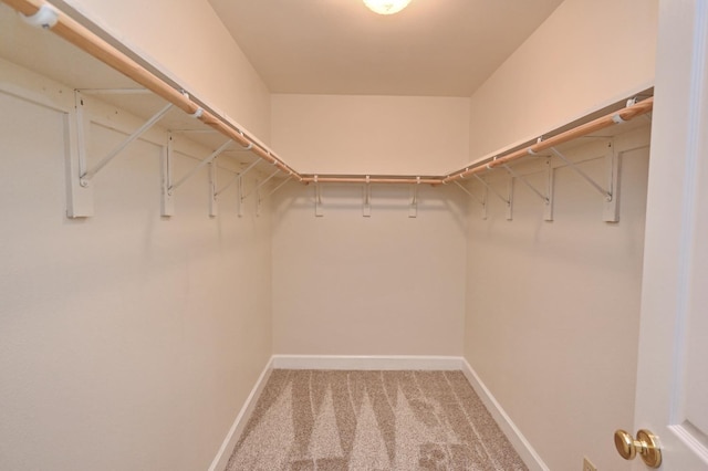 8037 E Morab Ave, Clovis, CA 93619 - walk in closet featuring light carpet