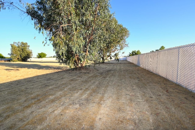 8037 E Morab Ave, Clovis, CA 93619 - view of yard