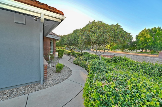 8037 E Morab Ave, Clovis, CA 93619 - view of yard