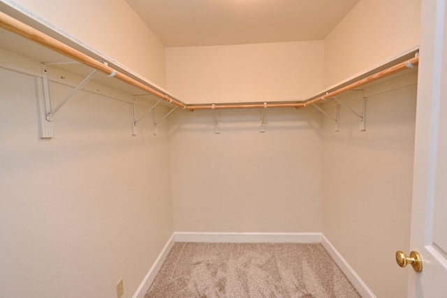 8037 E Morab Ave, Clovis, CA 93619 - walk in closet featuring light colored carpet