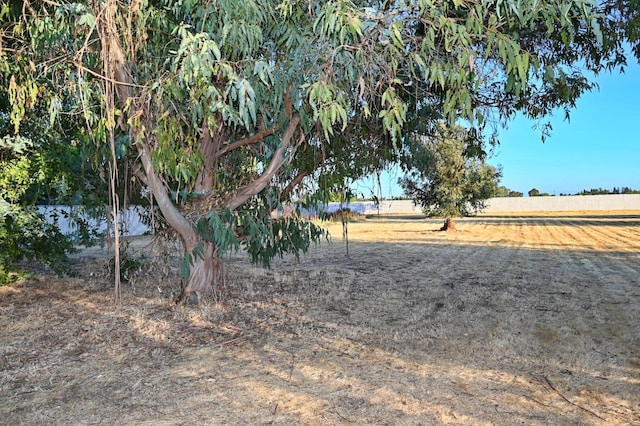 8037 E Morab Ave, Clovis, CA 93619 - view of yard featuring a view of rural / pastoral area