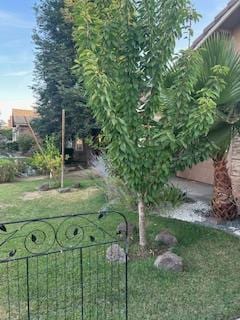220 S Double Tree Way, Madera, CA 93637 - view of grassy yard