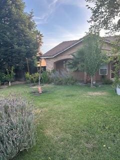 220 S Double Tree Way, Madera, CA 93637 - view of green lawn
