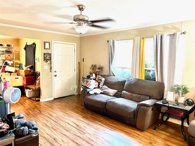 1445 E Cornell Ave, Fresno, CA 93704 - living room featuring crown molding, light wood-type flooring, and ceiling fan