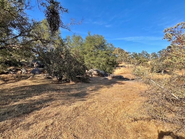 44293 Copper Creek Way, Coarsegold, CA 93614 - photo 35