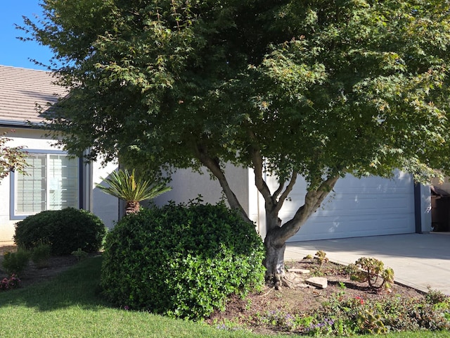 2300 Sierra St Unit 101, Kingsburg, CA 93631 - view of side of property with concrete driveway and stucco siding