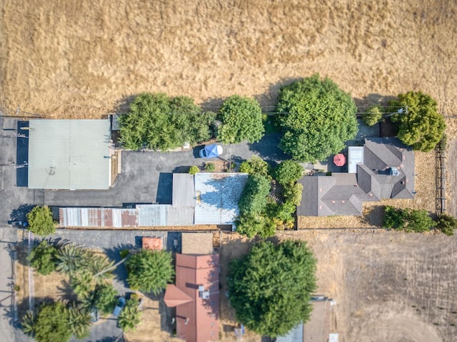 43125 Rd 80, Dinuba, CA 93618 - bird's eye view