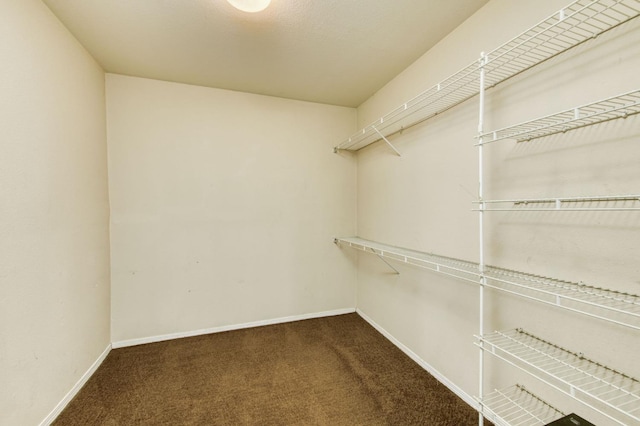 1580 Armstrong Ave, Clovis, CA 93611 - spacious closet featuring carpet flooring