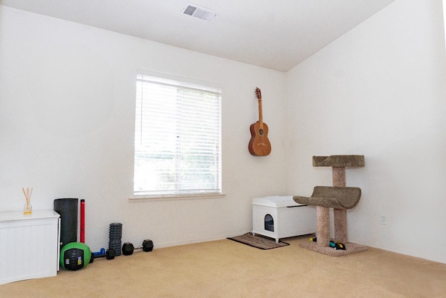 2518 Keats Ave, Fresno, CA 93611 - misc room with carpet and lofted ceiling