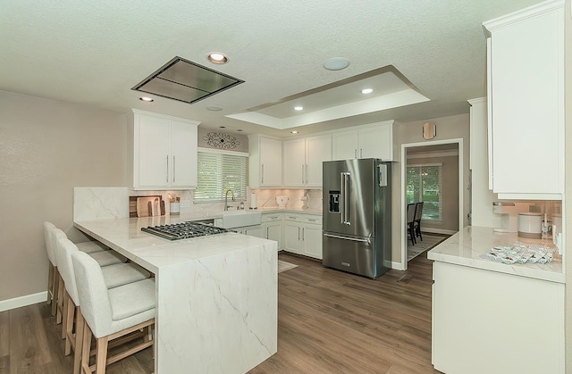 5383 N Briarwood Ave, Fresno, CA 93711 - kitchen with appliances with stainless steel finishes, a raised ceiling, a peninsula, backsplash, and dark wood finished floors