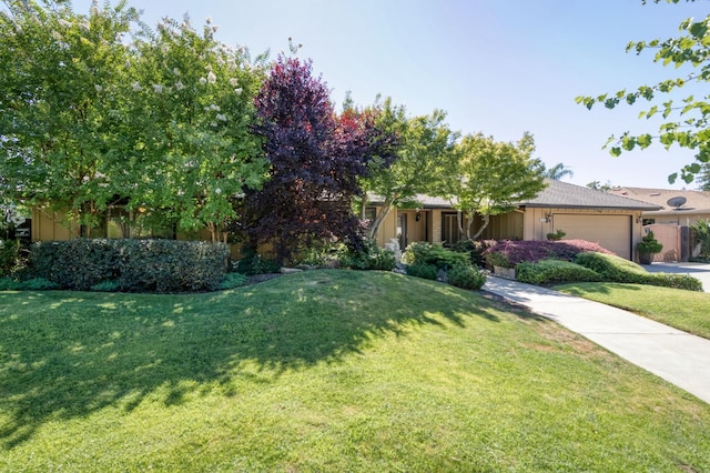 6328 N Benedict Ave, Fresno, CA 93711 - view of property hidden behind natural elements with concrete driveway, an attached garage, a front yard, and board and batten siding