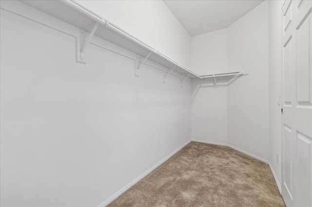 18555 Malkoha St, Riverside, CA 92570 - walk in closet with light carpet