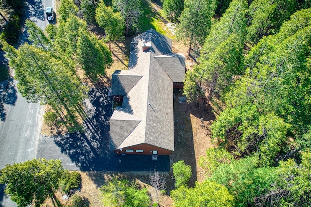 42052 Granite Ridge Rd, Shaver Lake, CA 93664 - view from above of property