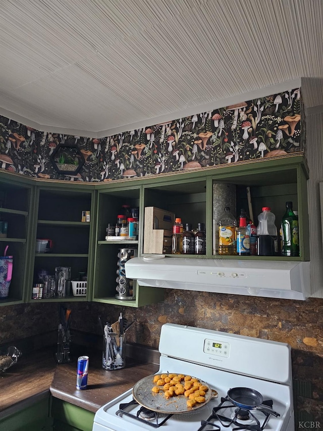 420 E Florinda St, Hanford, CA 93230 - kitchen featuring white stove, extractor fan, and open shelves