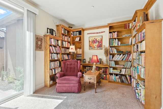 5822 E Booker Ave, Fresno, CA 93727 - sitting room with bookshelves and carpet floors
