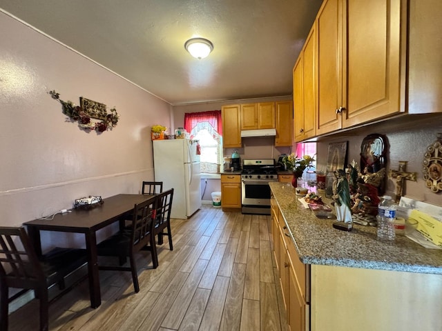 1925 E 15th, Oakland, CA 94606 - kitchen with stainless steel gas range oven, freestanding refrigerator, under cabinet range hood, light wood-type flooring, and dark stone countertops