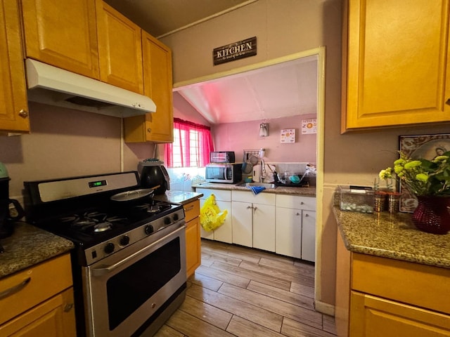 1925 E 15th, Oakland, CA 94606 - kitchen featuring appliances with stainless steel finishes, under cabinet range hood, vaulted ceiling, light wood-type flooring, and dark stone counters