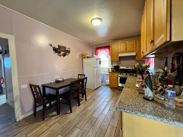 1925 E 15th, Oakland, CA 94606 - kitchen featuring stainless steel gas range oven, freestanding refrigerator, light wood-style floors, under cabinet range hood, and stone countertops